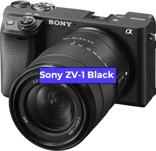 Ремонт фотоаппарата Sony ZV-1 Black в Челябинске